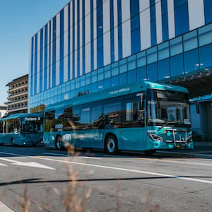 Bus web size v3
